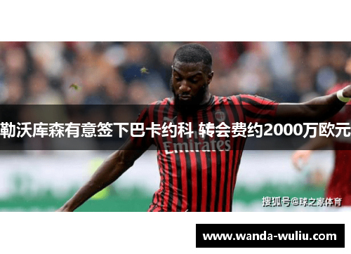 勒沃库森有意签下巴卡约科 转会费约2000万欧元 勒沃库森有意签下巴卡约科 转会费约2000万欧元